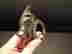 item-136777164=3