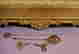 item-136777292=3