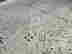 item-136787098=4
