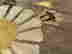 item-136787257=3