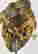item-136867702=8