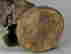 item-136867771=11