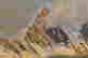 item-136870683=7