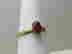 item-136972776=2