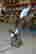 item-137053343=5