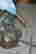 item-137053343=7