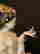 item-137053394=2