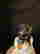 item-137053394=6