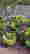 item-137053434=3