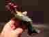 item-137188312=7
