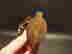 item-137188312=8