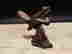 item-137188464=6