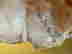item-137204054=6