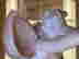 item-137204054=9