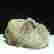 item-137213981=5