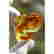 item-137214250=10