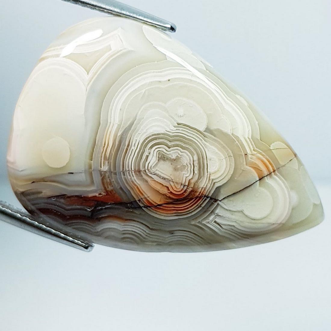 31.58 ctz Natural Crazy Lace Agate: No Reserve! Title: 31.58 ctz Natural Crazy Lace Agate Color/Clarity: Multy Color / Opaque Gemstones: Agate Carat Weight: 31.58 Size/Dimensions: 31.36 x 21.66 x 5.90 Additional Information: pear / Braz