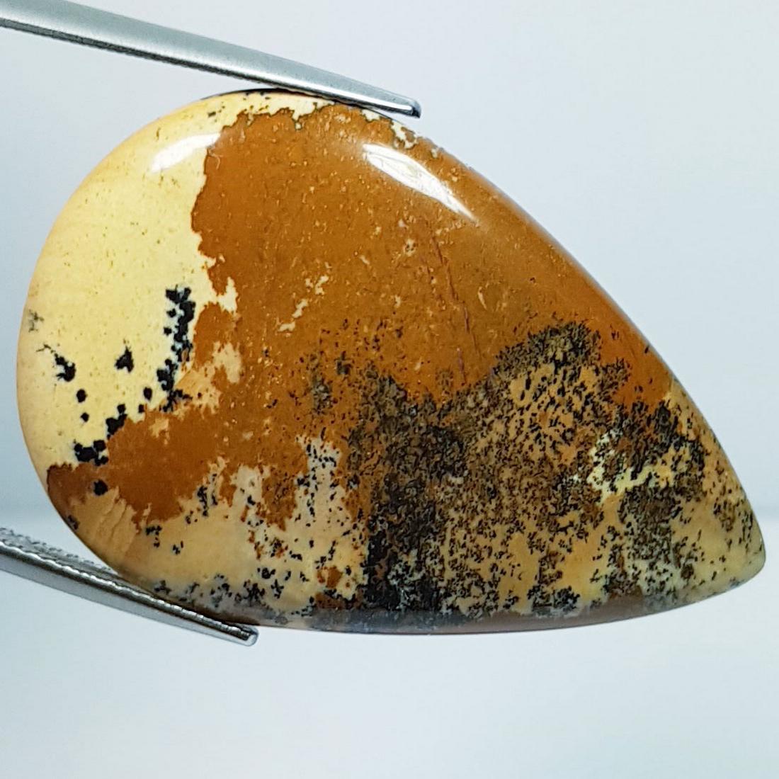 40.28 Ctz " Natural Picture Jasper: No Reserve! Title: 40.28 Ctz " Natural Picture Jasper Color/Clarity: Brown Mix / Opaque Gemstones: Jasper Carat Weight: 40.28 Size/Dimensions: 38.09 x 25.68 x 5.91 Additional Information: Pear / brazi