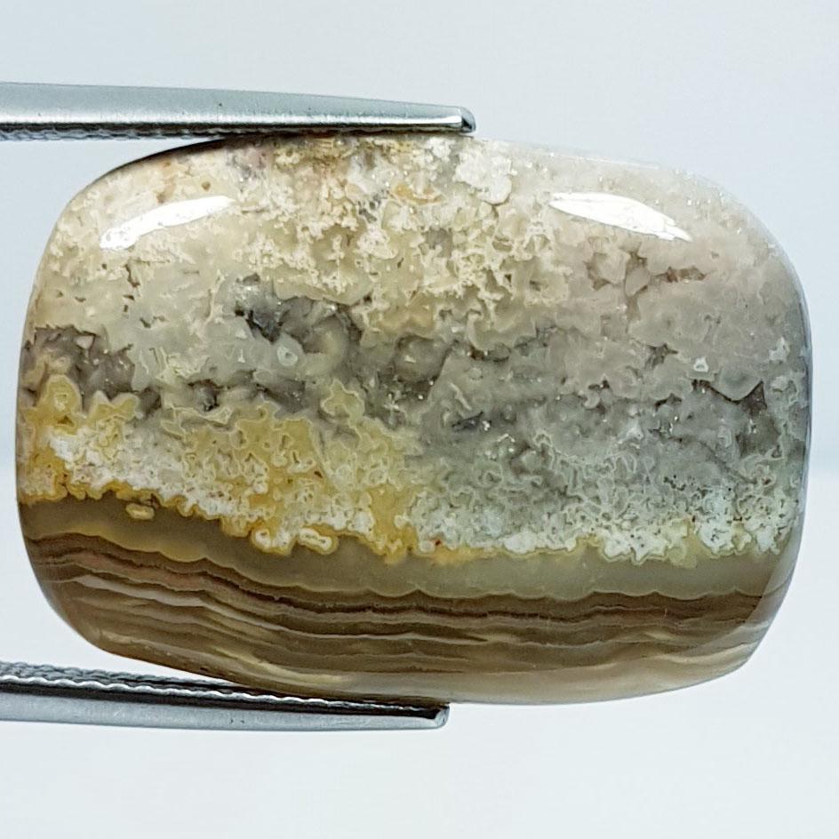 24.19 ctz Natural Crazy Lace Agate: No Reserve! Title: 24.19 ctz Natural Crazy Lace Agate Color/Clarity: Multy Color / Opaque Gemstones: Agate Carat Weight: 24.19 Size/Dimensions: 26.03 x 18.78 x 5.29 Additional Information: Cushion / B