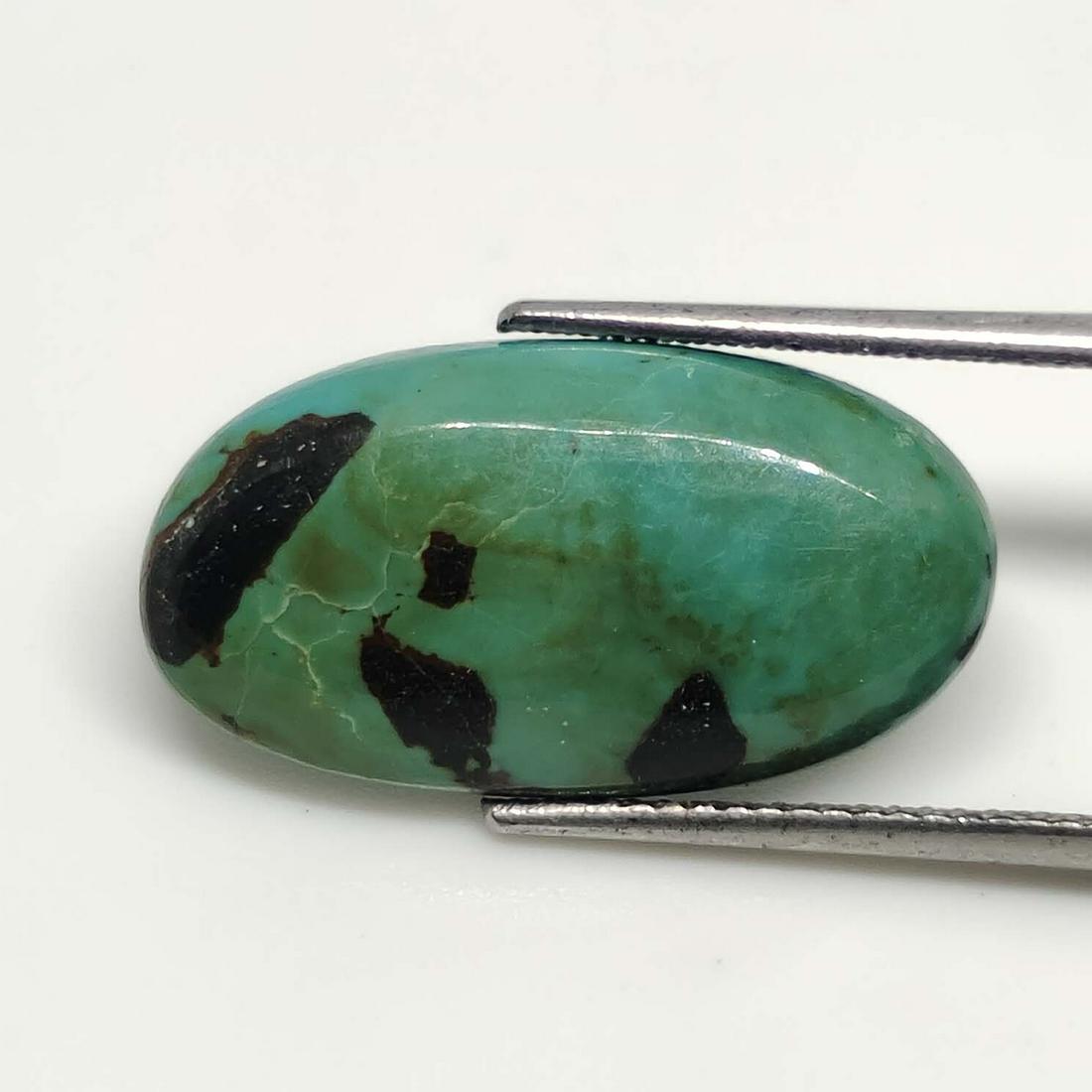 6.50 Ct Natural Turquoise: No Reserve! Title: 6.50 Ct Natural Turquoise Additional Information: Gemstones: Turquoise Carat Weights: 6.50 ct Size/Dimensions: 21 X 11 X 3 mm Materials & Techniques: Turquoise Shipping: Domestic: F