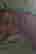 item-137240282=3