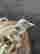 item-137240399=6
