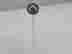 item-137254701=3