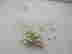 item-137254783=7