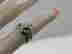 item-137254825=11