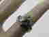 item-137254825=13