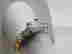 item-137254859=4