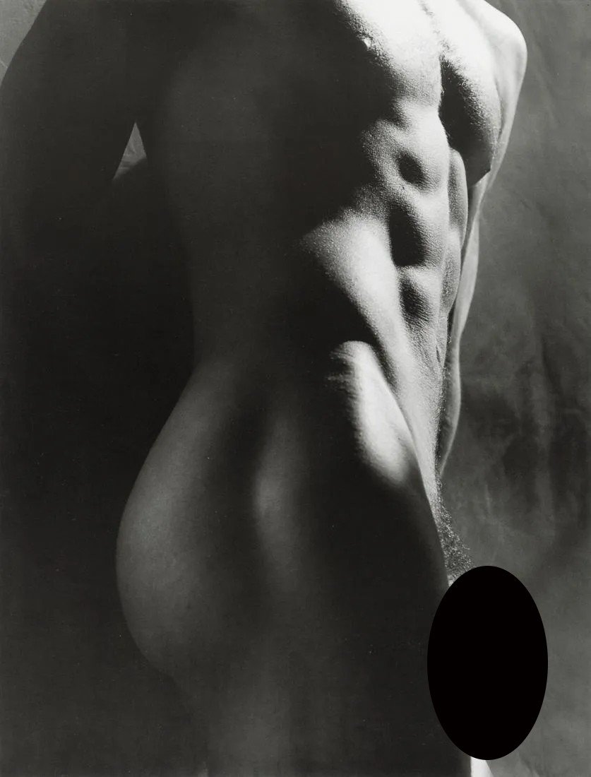 GREG GORMAN - Male Torso, 1988 (1 of 2)