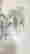 item-137301430=6