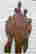 item-137353838=3