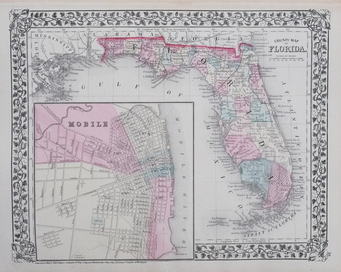 1876 Mitchell Map of Florida -- County Map of Florida (1 of 1)