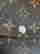 item-137362374=9