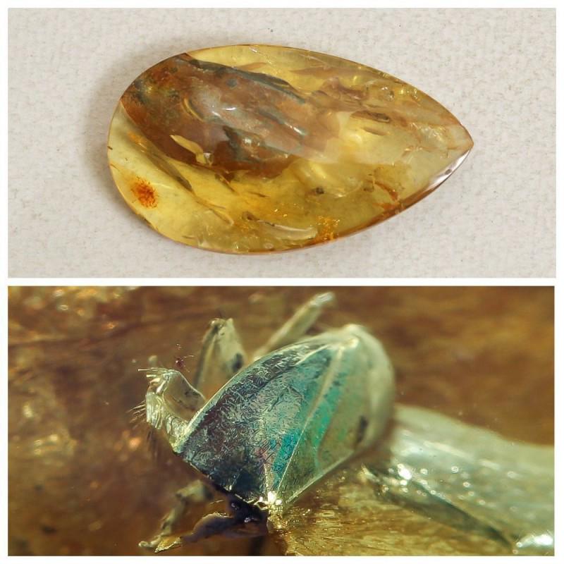 Insects natural Baltic amber beetle stone inclusion pendant: Faceted pendant shape unique amber piece with inclusion which is 45-50 million years old. Collectible piece! Weight: 8.01 gram (0.28 oz) Inclusion: beetle (Coleoptera) Age: 45-50 million years old Siz