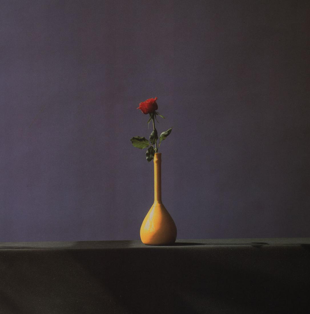 MAPPLETHORPE - Rose, 1982 (1 of 1)