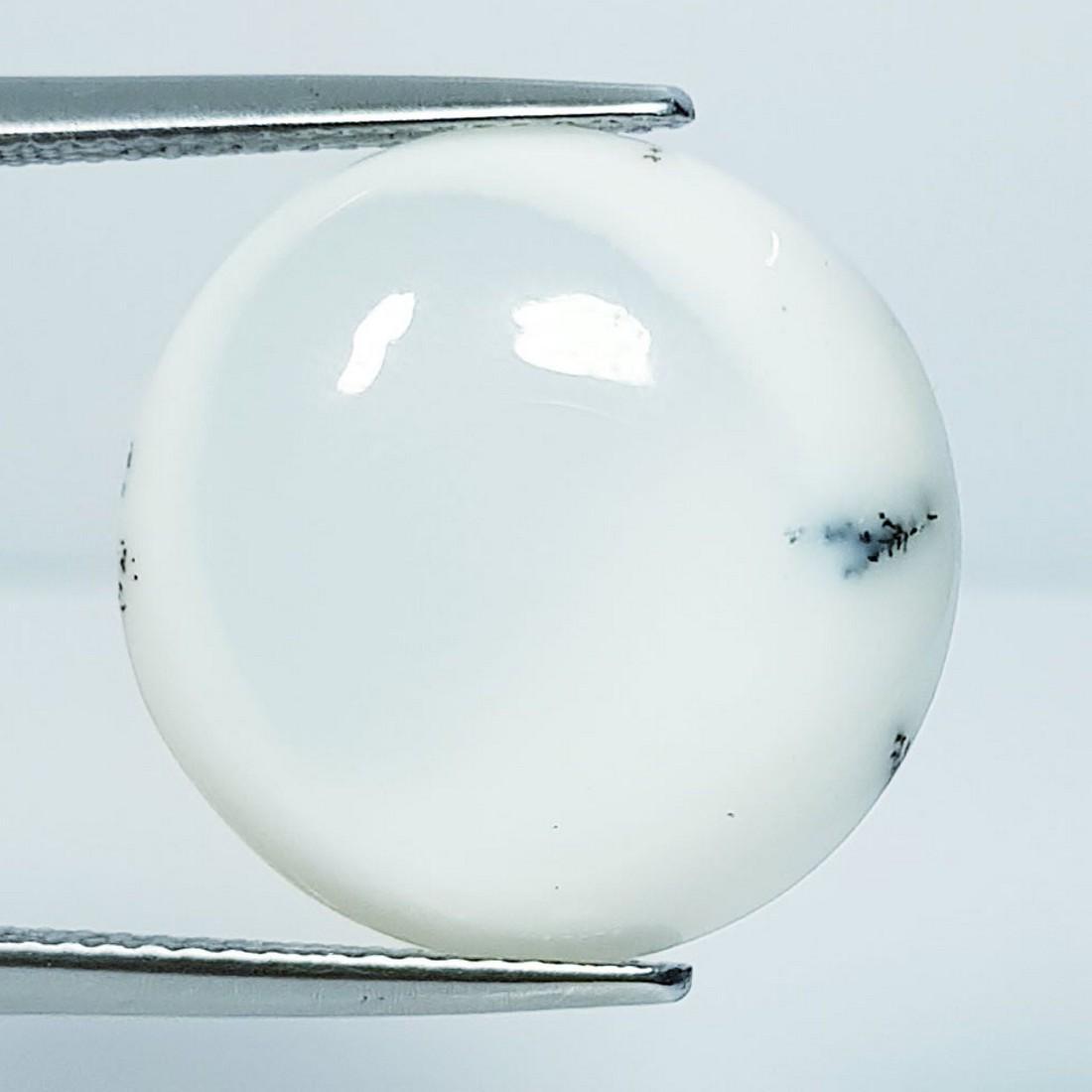 11.41 ctz Natural Dendritic Opal: No Reserve! Title: 11.41 ctz Natural Dendritic Opal Color/Clarity: White & Black / Opaque Gemstones: Opal Carat Weights: 11.41 Size/Dimensions: 18.50 x 18.50 x 4.80 Additional Info: Round / Australia 