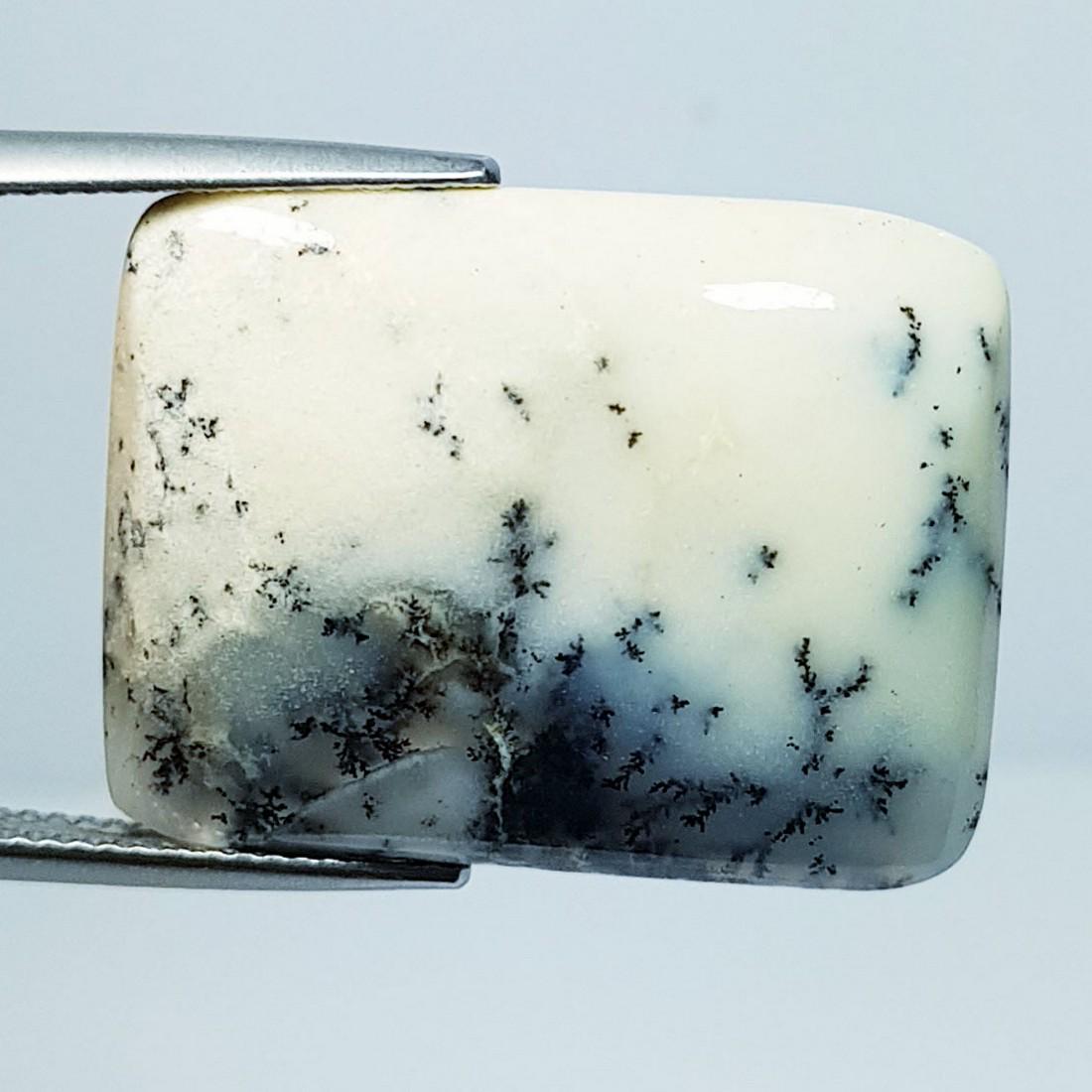 25.23 ctz Natural Dendritic Opal (1 of 4)