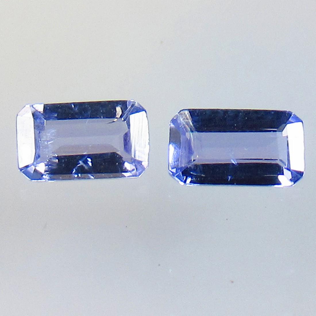 0.60 Ctw Natural Tanzanite Octagon Pair: No Reserve! Title:0.60 Ctw Natural Tanzanite Octagon Pair Stone Clarity:VVS Gemstones:Tanzanite Carat Weights:0.60 Size/Dimensions:5.30 x 3.00 x 1.80 mm / 2 P'cs Additional Information:Top Quality Lus