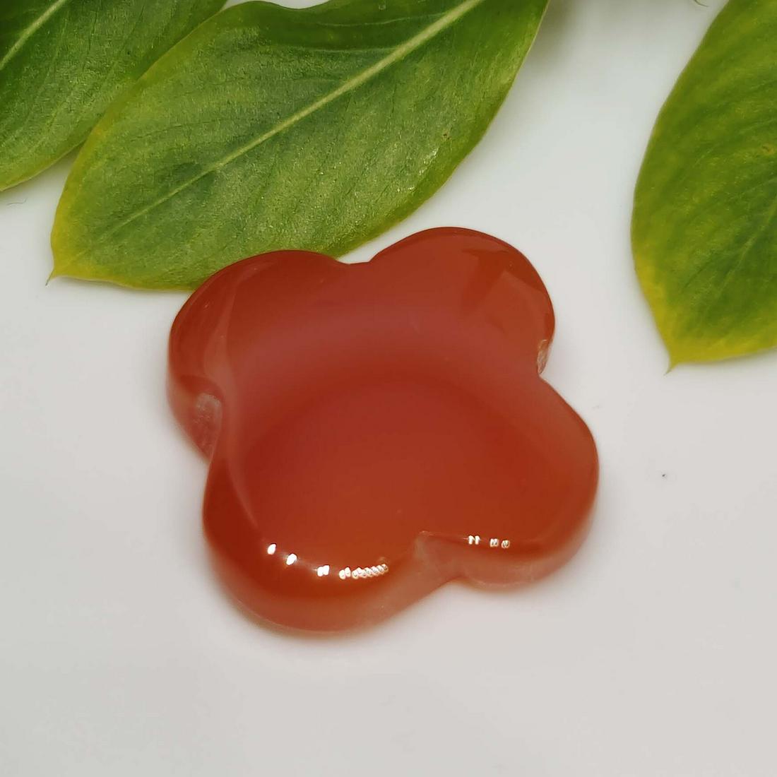 9 ct Natural Carnelian Star Cab: No Reserve! Title: 9 ct Natural Carnelian Star Cab Additional Information: Gemstones: Carnelian Carat Weights: 9 ct Size/Dimensions: 14.5 X 14.5 mm Materials & Techniques: Carnelian Shipping: Domestic