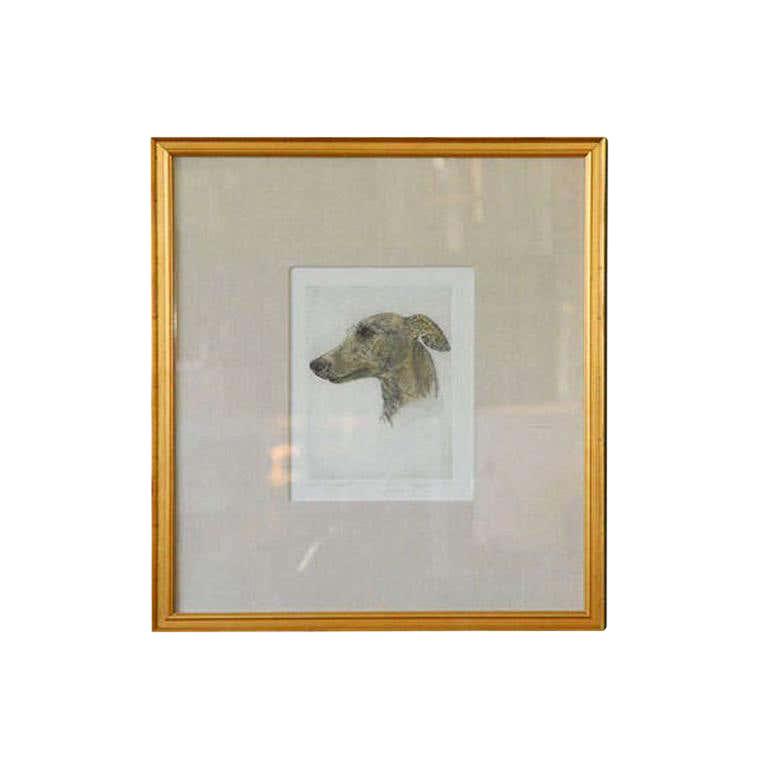 Colored Etching of Whippet Hunting Dog (1 of 8)
