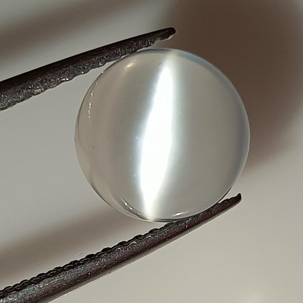 3.27 Ctw Natural Moonstone Round Cab: No Reserve! Title: 3.27 Ctw Natural Moonstone Round Cab Stone Clarity: Semi-Transparent Gemstones: Natural Moonstone Carat Weights: 3.27 Size/Dimensions: 8.40 x 8.40 x 6.20 mm Additional Information: