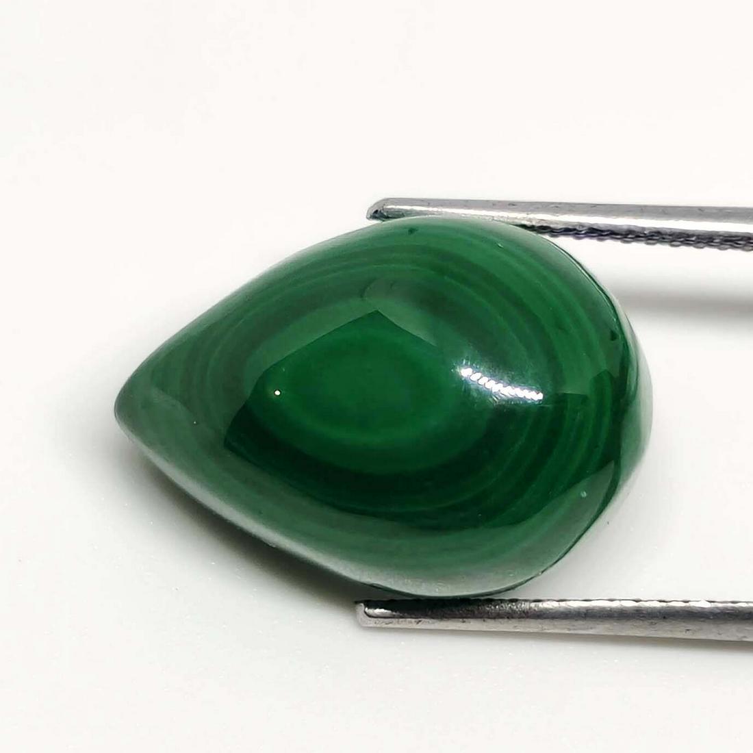 19.55 ct Natural Malachite: No Reserve! Title: 19.55 ct Natural Malachite Additional Information: Gemstones: Malachite Carat Weights: 19.55 ct Size/Dimensions: 17 X 12 X 7 mm Materials & Techniques: Malachite Shipping: Domestic: