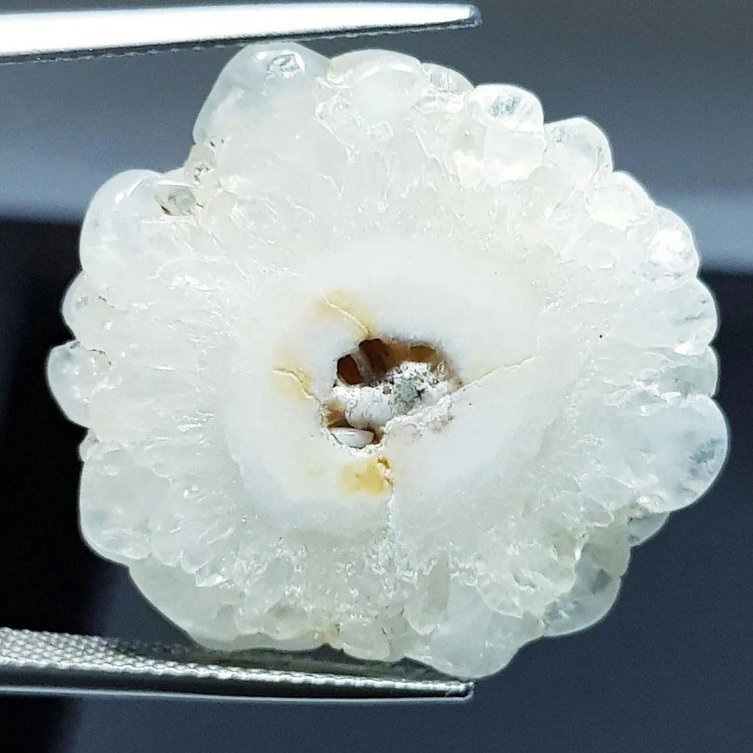 26.07 ctz" Fine Collection NaturalWhite Solar Fossile (1 of 4)