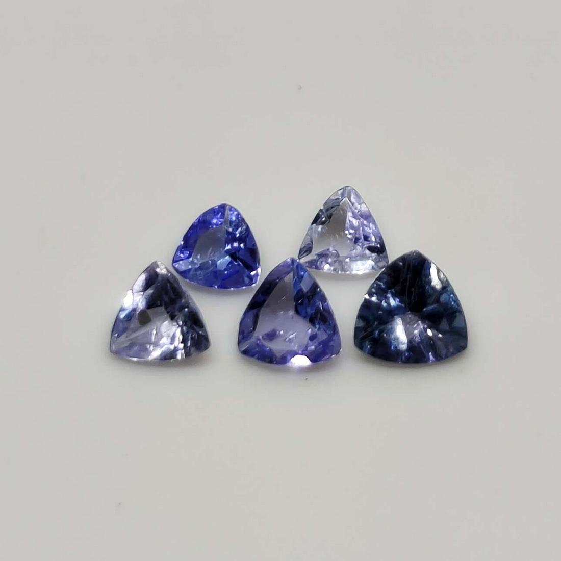 0.70 ct Natural Tanzanite Lot: No Reserve! Title: 0.70 ct Natural Tanzanite Lot Additional Information: Gemstones: Tanzanite Carat Weights: 0.70 ct Size/Dimensions: 3 to 4 mm Materials & Techniques: Tanzanite Shipping: Domestic: Fl