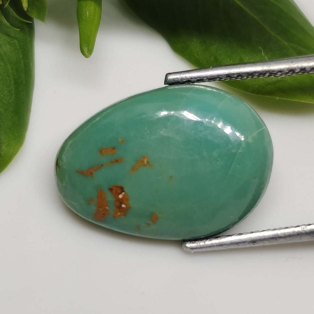 4.55 Ct Natural Turquoise (1 of 2)