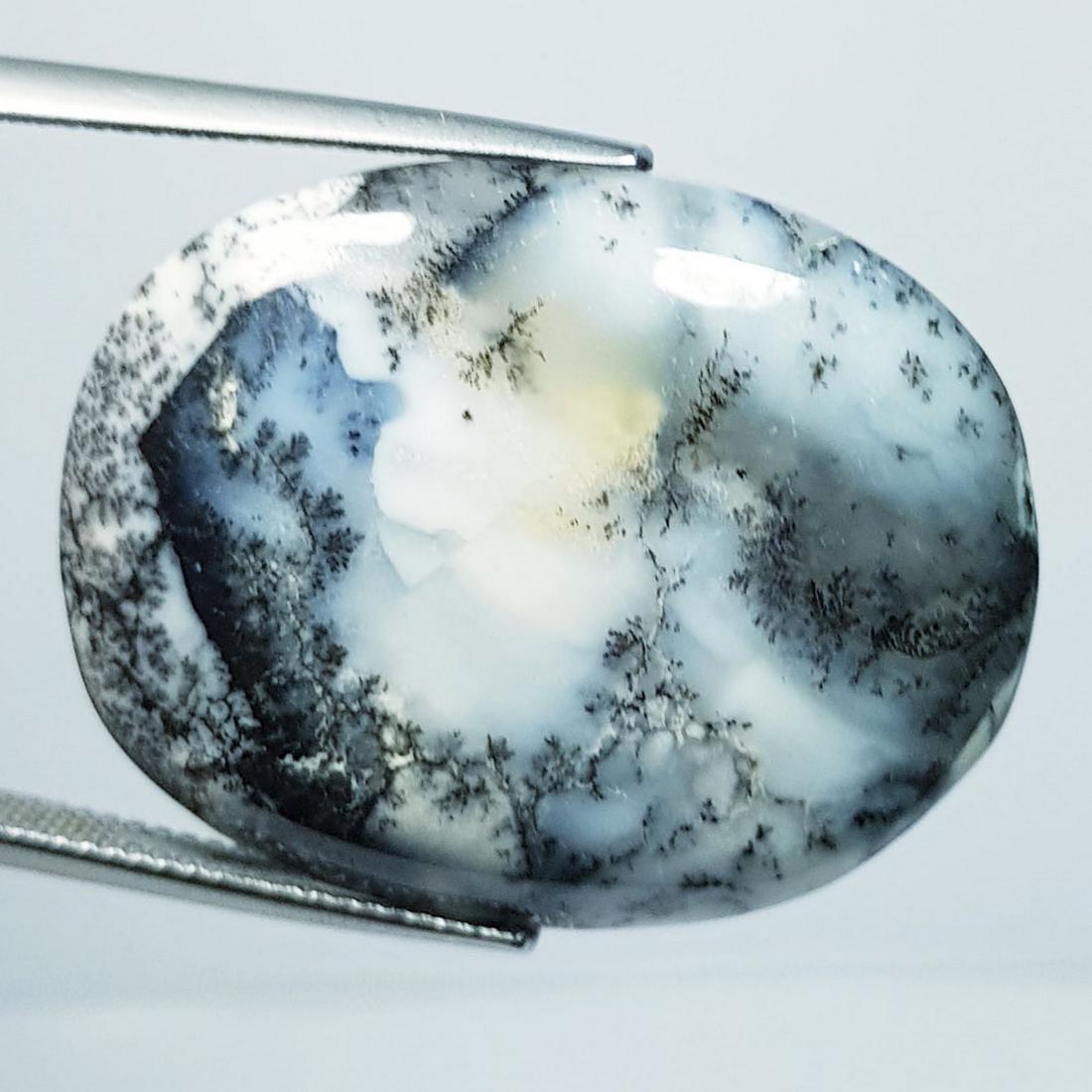 29.10 ctz " Fine Collection" Narural Dendritic opal (1 of 4)