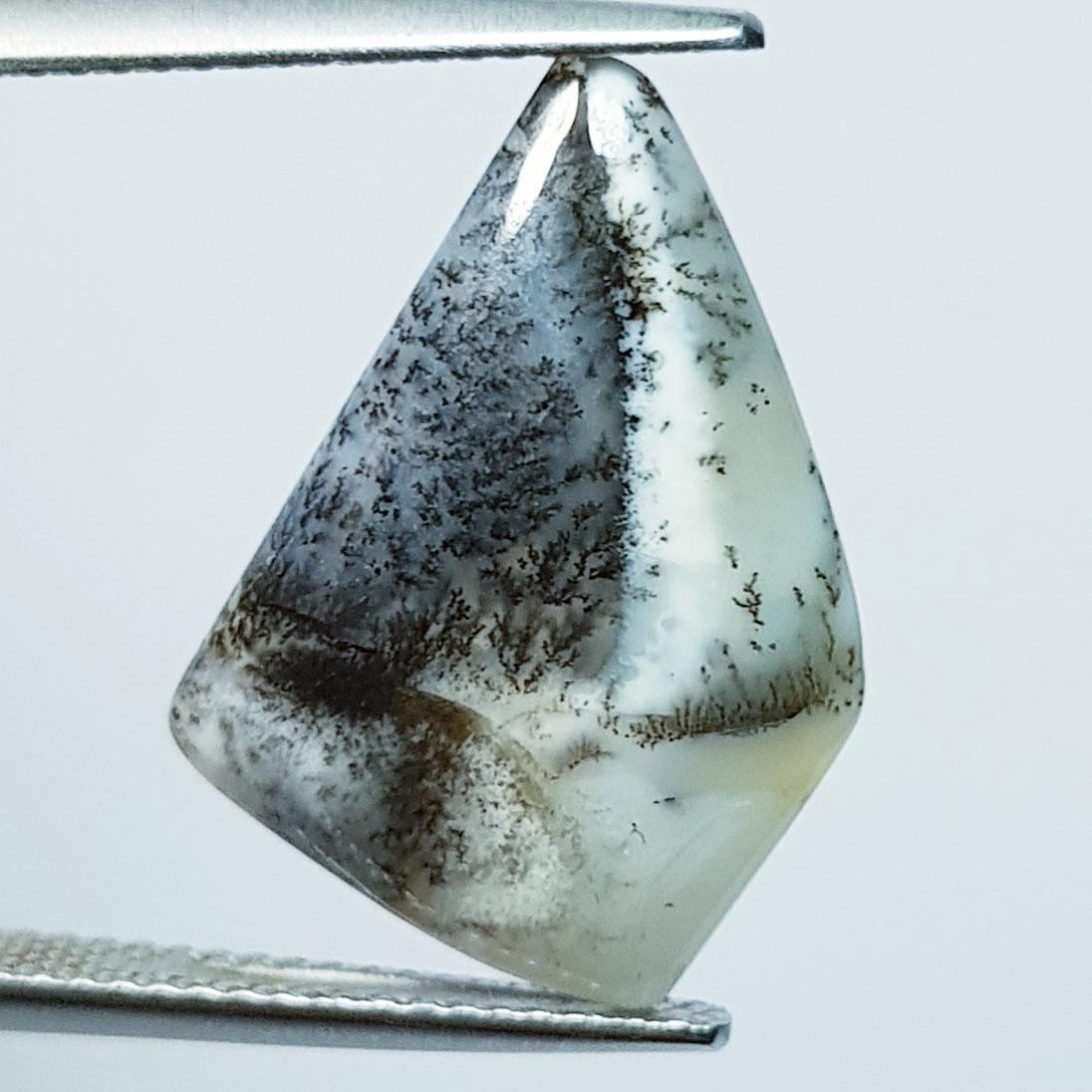 7.57 ctz " Fine Collection" Narural Dendritic opal (1 of 4)